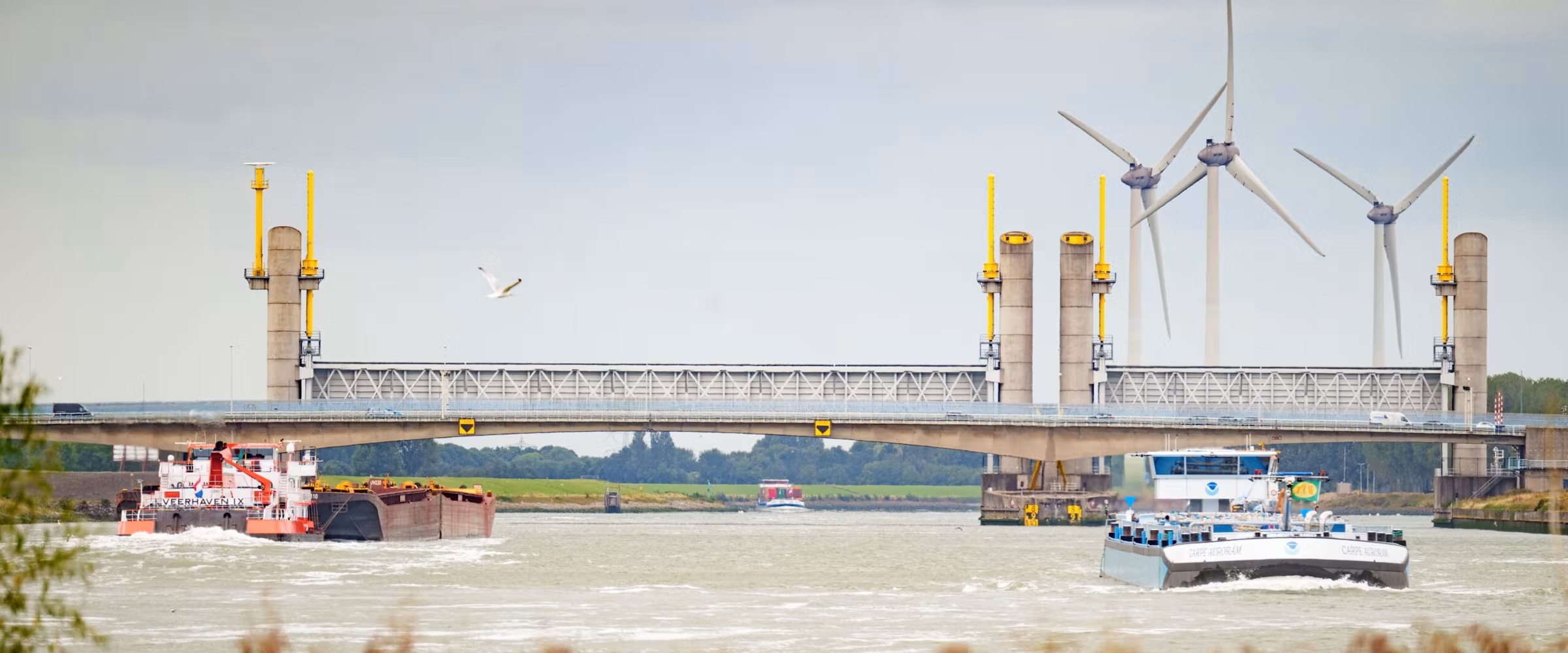 hartelbrug