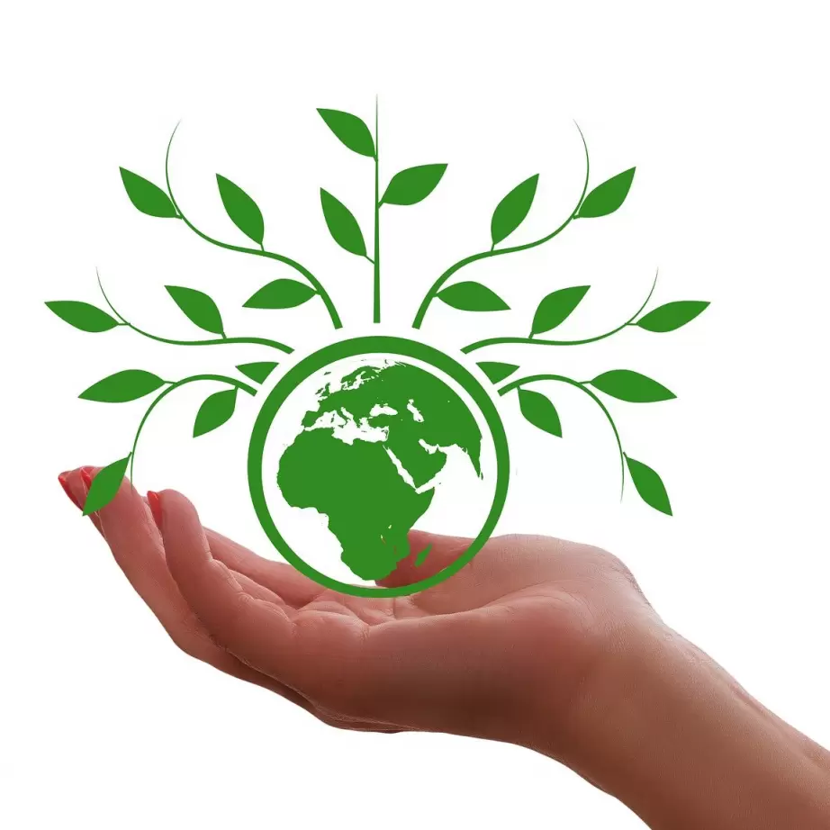 Hand met groene wereldbol